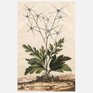 Manntreu vor Landschaft