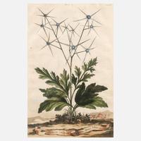 Manntreu vor Landschaft111