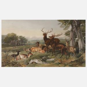 Wildtiere in Landschaft