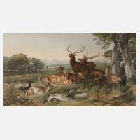 Wildtiere in Landschaft111