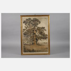 Prof. Wilhelm Danz, Eiche in Sommerlandschaft