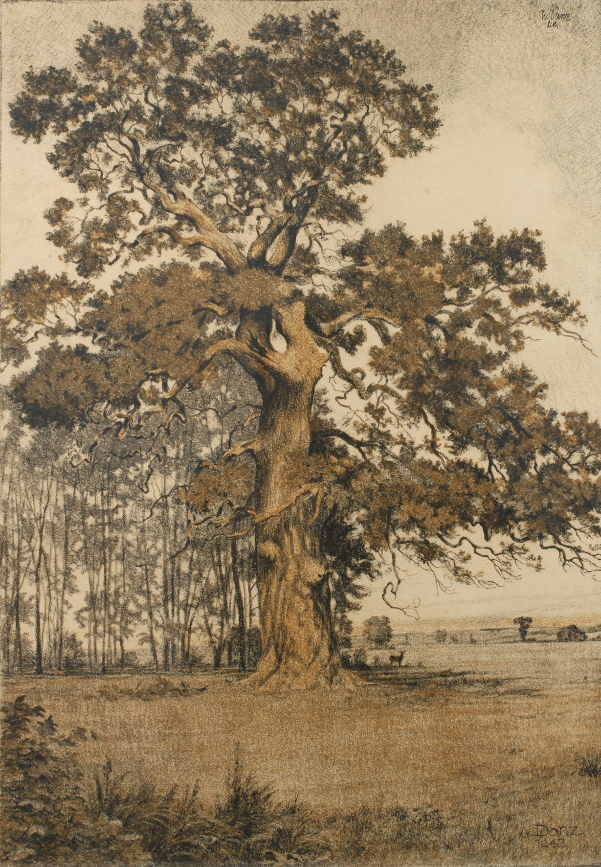 Prof. Wilhelm Danz, Eiche in Sommerlandschaft