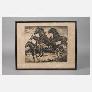 Prof. Philipp Franck, Ausbrechende Pferde