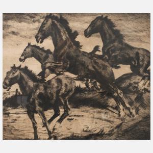 Prof. Philipp Franck, Ausbrechende Pferde