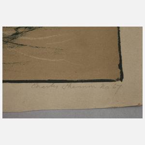 Landung Schiffbrüchiger