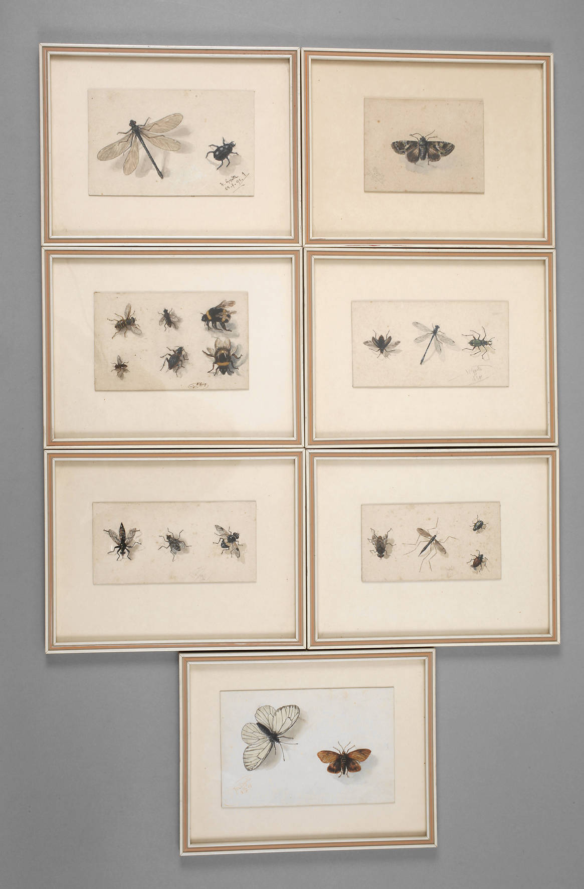 Wilhelm Oppitz, Sammlung Naturstudien