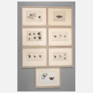 Wilhelm Oppitz, Sammlung Naturstudien