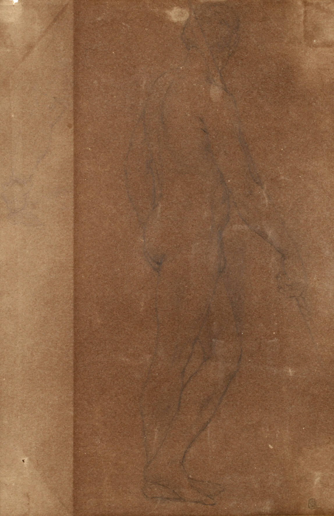 Männlicher Rückenakt