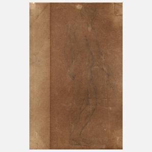 Männlicher Rückenakt