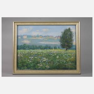 Georg Kötschau, Dornburger Schlösser im Sommer