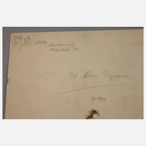 Schulze, Exotische Ziervögel