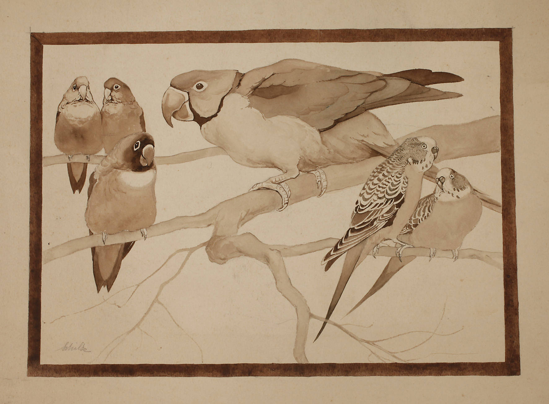 Schulze, Exotische Ziervögel