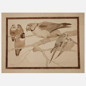 Schulze, Exotische Ziervögel