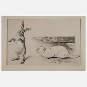 Emil Reinicke, Bildgeschichte der übermütige Hase