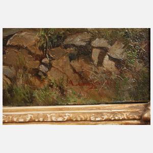 August Leonhardi, ”Aus dem Riesengebirge”