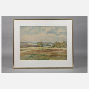 Liesel Fischer, Sommerliche Vogtlandlandschaft