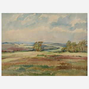 Liesel Fischer, Sommerliche Vogtlandlandschaft