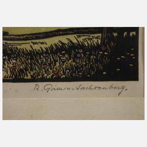 Richard Grimm-Sachsenberg, Im Vogtland