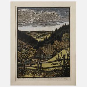 Richard Grimm-Sachsenberg, Im Vogtland