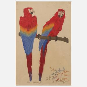 Martin Erich Philipp, ”Rote Aras II”