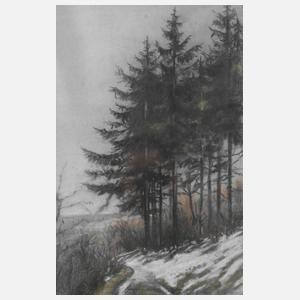 Siegfried Schneider, Letzter Schnee