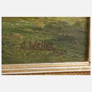 Albert Weller, Walkmühle bei Oelsnitz im Vogtland