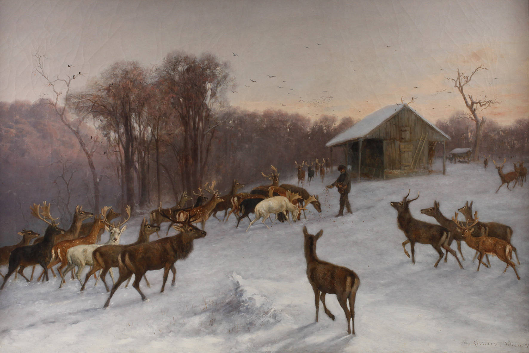 Richter, Wildfütterung