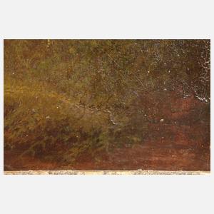 Sommerliche Gebirgslandschaft