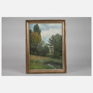 W. Anders, ”Partie an der Nidda”