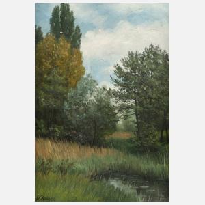 W. Anders, ”Partie an der Nidda”