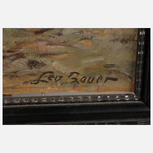 Leo Bauer, Eisvergnügen