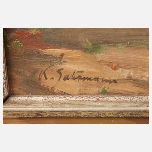 Karl Gatermann der Ältere, Stadtansicht Lübeck