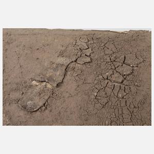 Einhart Grotegut, ”Erdzeichen-Lebensspur”