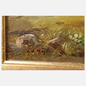 V. U. Höfe, Mittagsrast in den Alpen