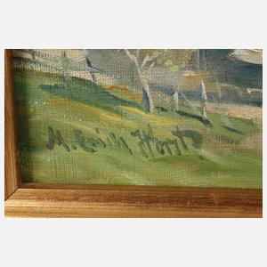 Erich Horst, Sommerlicher Bergsee