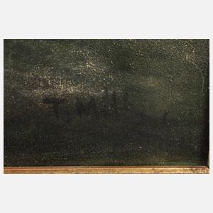 T. Miltz, Frühling im Schwarzwald