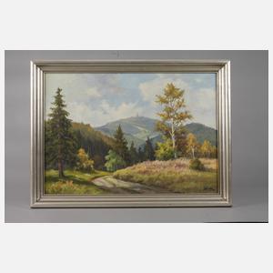 E. Möller, Inselberg in Thüringen