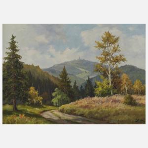 E. Möller, Inselberg in Thüringen