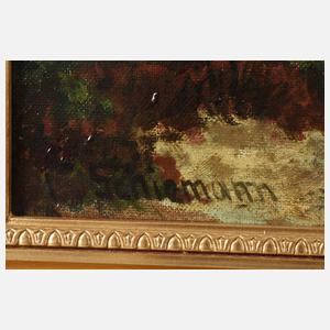 Schiemann, Heidelandschaft