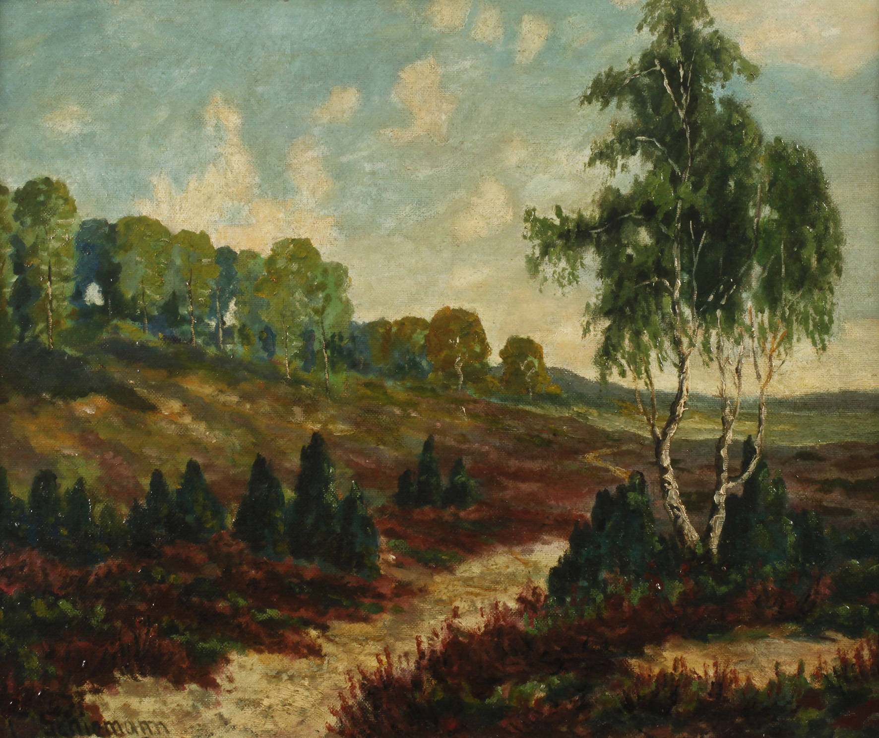 Schiemann, Heidelandschaft