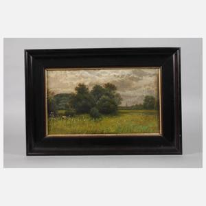 J. Schwartz, Sommerliche Auenlandschaft