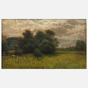 J. Schwartz, Sommerliche Auenlandschaft