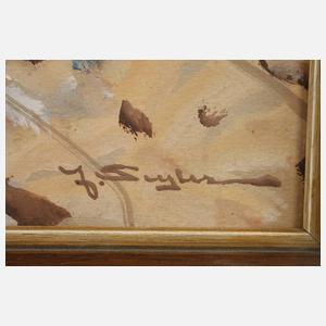 Prof. Julius Seyler, Wattfischer