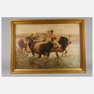 Rinder in der Schwemme