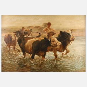 Rinder in der Schwemme