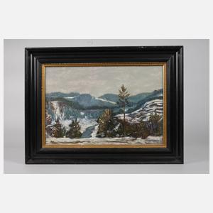 Winter im Mittelgebirge