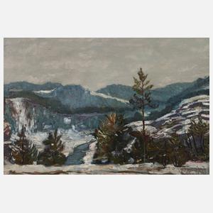 Winter im Mittelgebirge