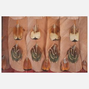 Edgard Pillet, Federbild ”Anacardier”