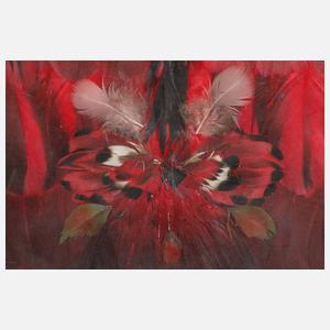 Edgard Pillet, Federbild ”Olibrius Marin”