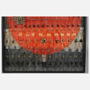 Edgard Pillet, Federbild ”Astrolabe”